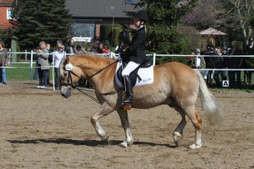 Bild 461 - WBO-Turnier am 9.4.11